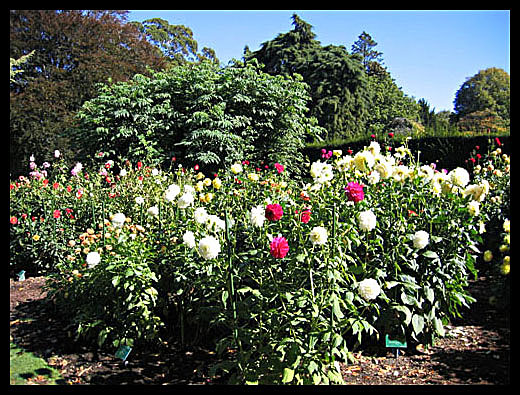 Jardin botanique Christchurch